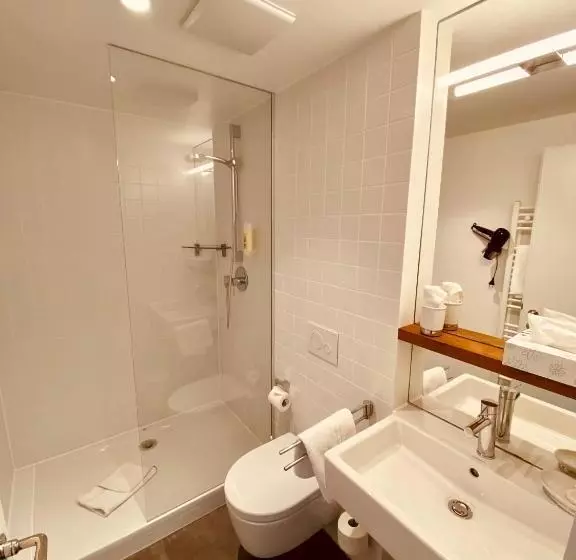 シングルデラックスルーム, Stadthotel Waldhorn