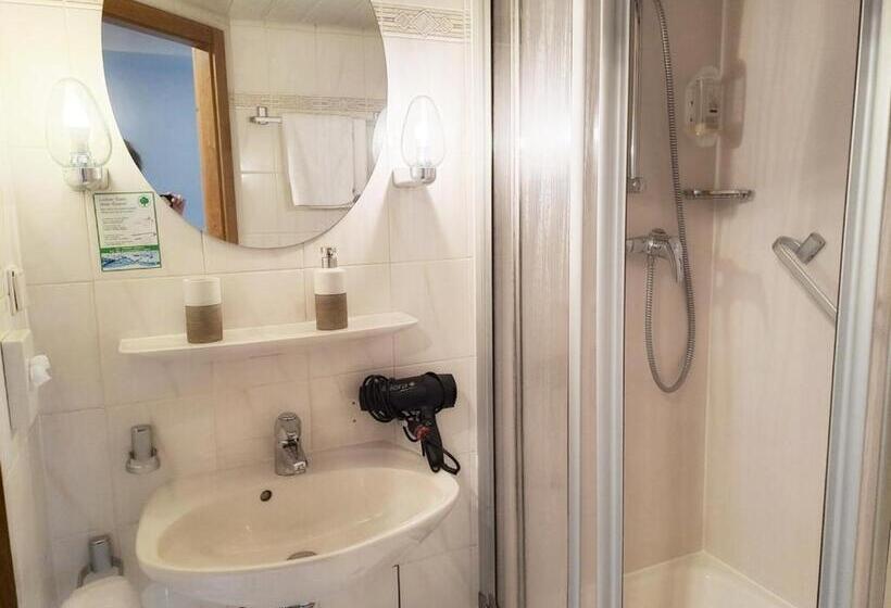 标准单人间, Stadthotel Waldhorn