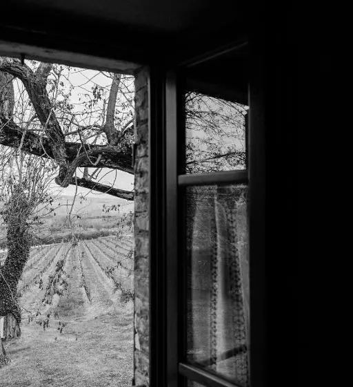 Suite, Villa Nottola