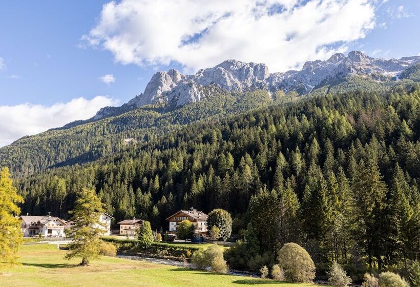 חדר סטנדרט, Wellness Hotel Dolomia