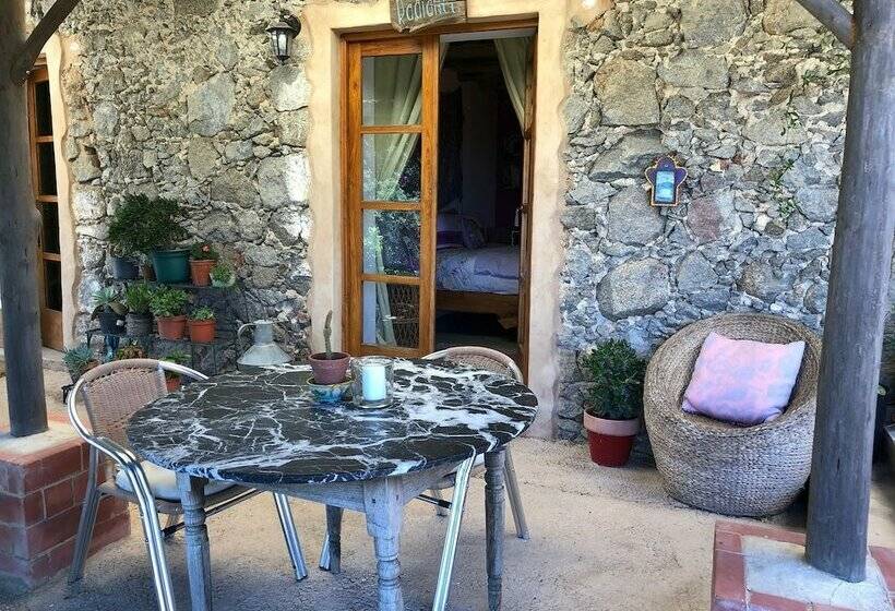 غرفة قياسية سرير مزدوج, Far Out Oasis