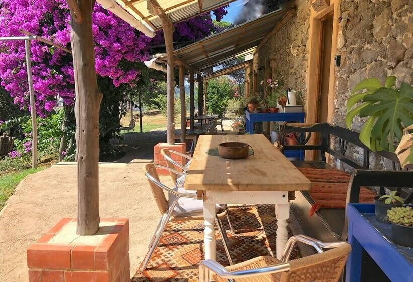 غرفة قياسية سرير مزدوج, Far Out Oasis