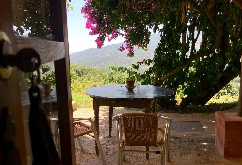 标准间带双人床, Far Out Oasis