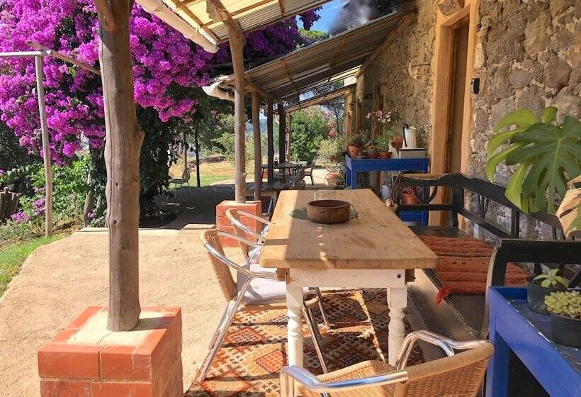 标准间带双人床, Far Out Oasis