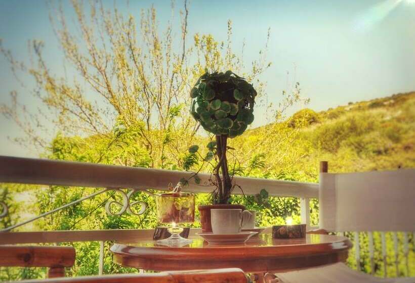 اتاق استاندارد با تخت دوبل, House Butik