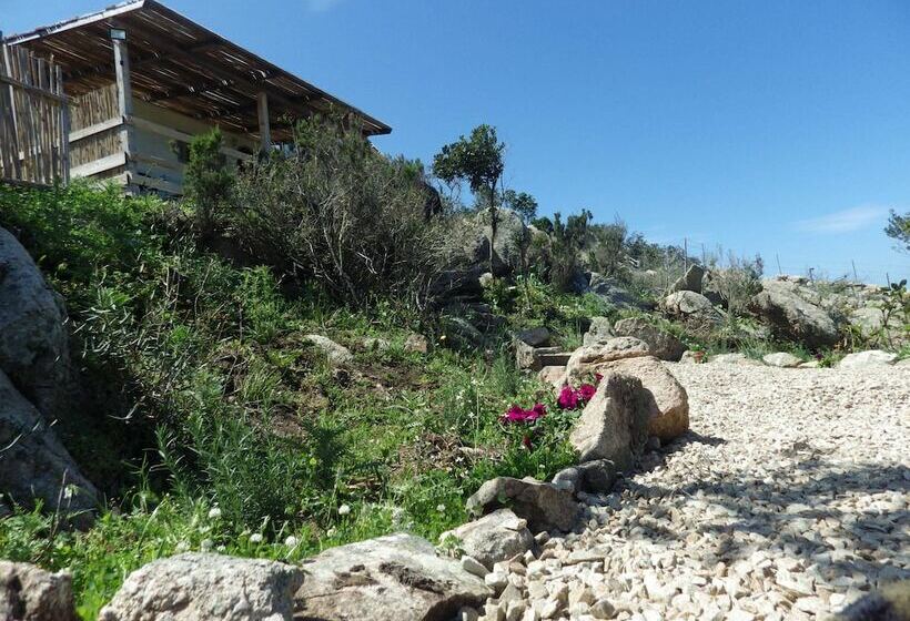 דירת חדר אקונומי, La Cera Farm Camping B&b