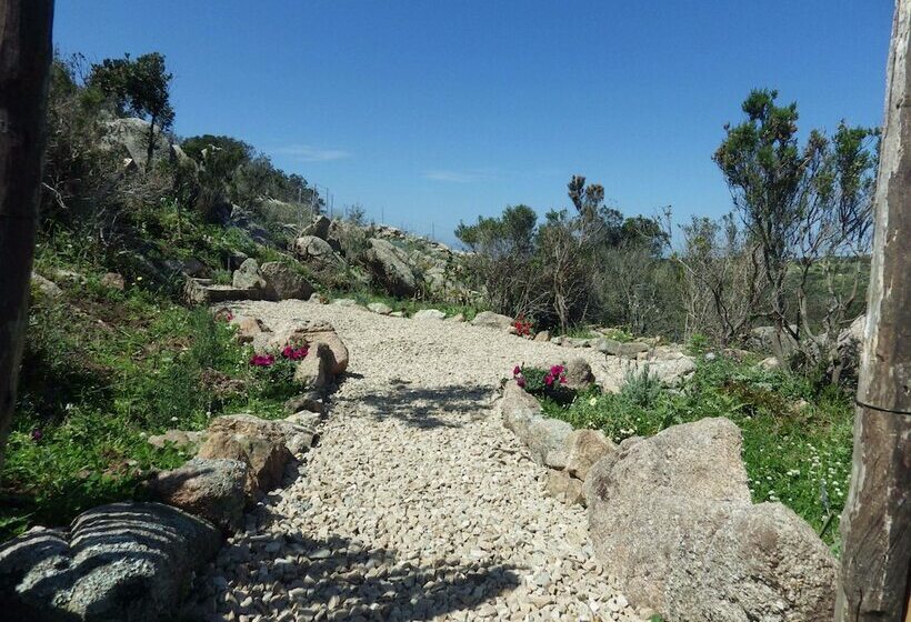 דירת חדר אקונומי, La Cera Farm Camping B&b