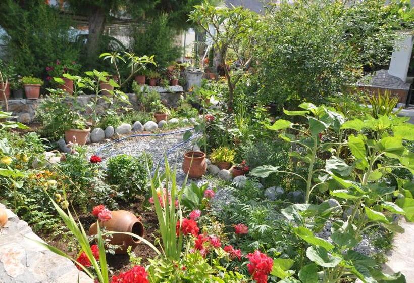 スーペリアールーム, Paralia Guest House