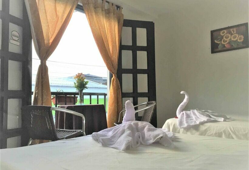 베이직 4인 룸, Bananas Hostel