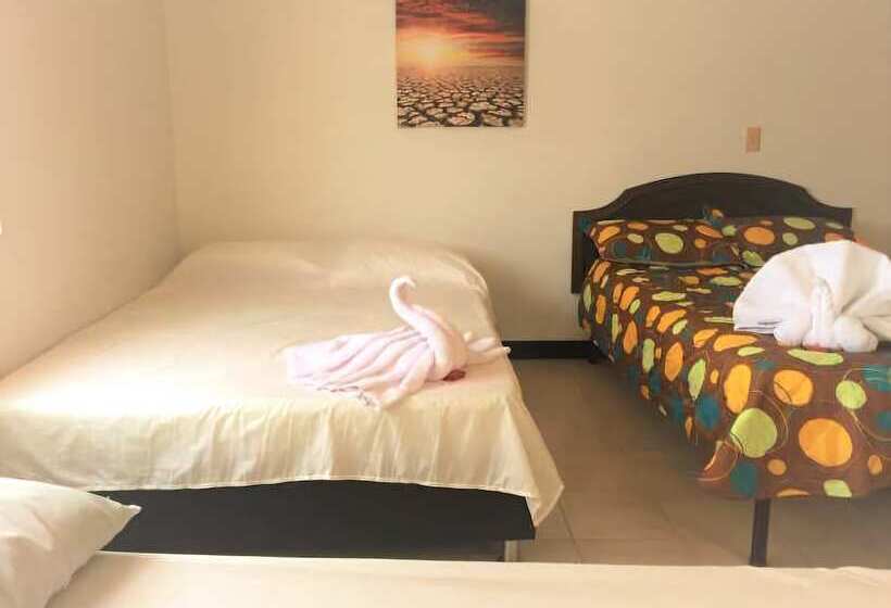 베이직 4인 룸, Bananas Hostel