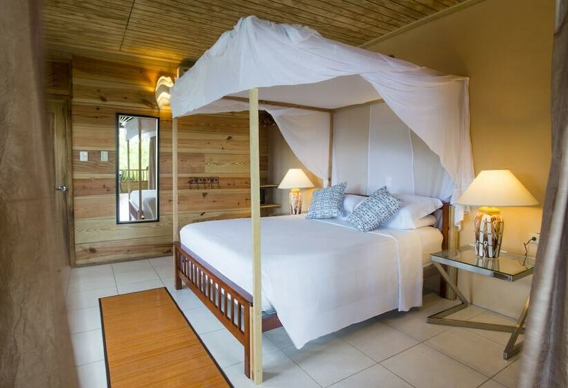 استوديو أساسي, Castara Retreats