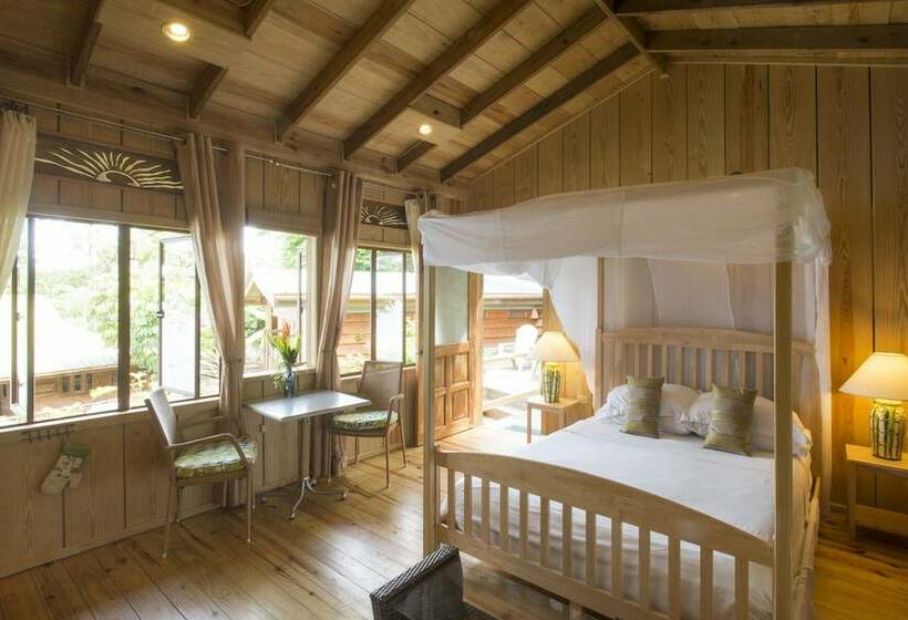 استودیو ساده, Castara Retreats