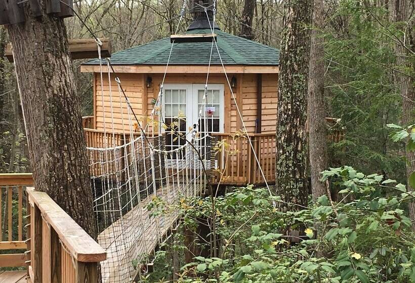 منزل غرفة نوم واحدة, Country Road Cabins