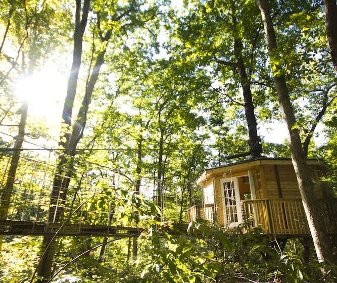 منزل غرفة نوم واحدة, Country Road Cabins