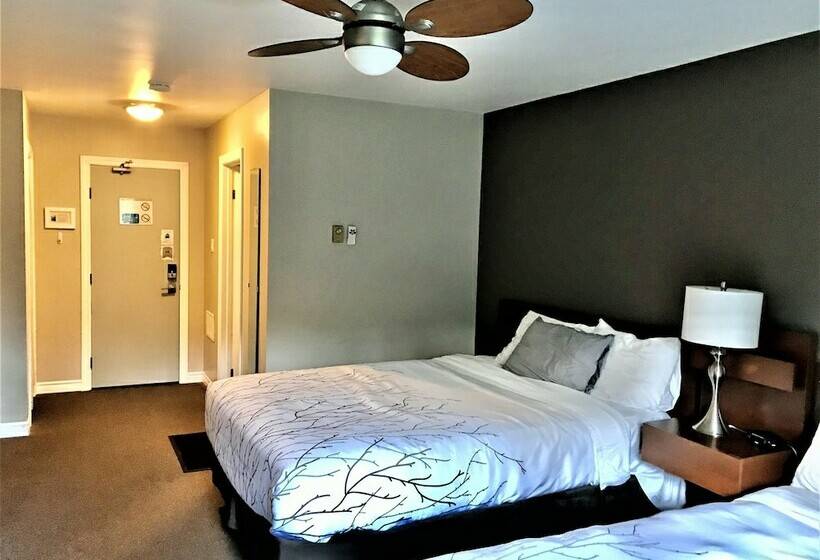 غرفة ديلوكس, Hush Lodge And Cottages