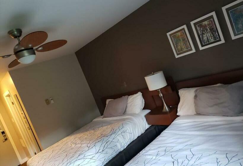 غرفة ديلوكس, Hush Lodge And Cottages