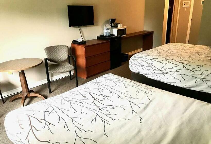 غرفة ديلوكس, Hush Lodge And Cottages