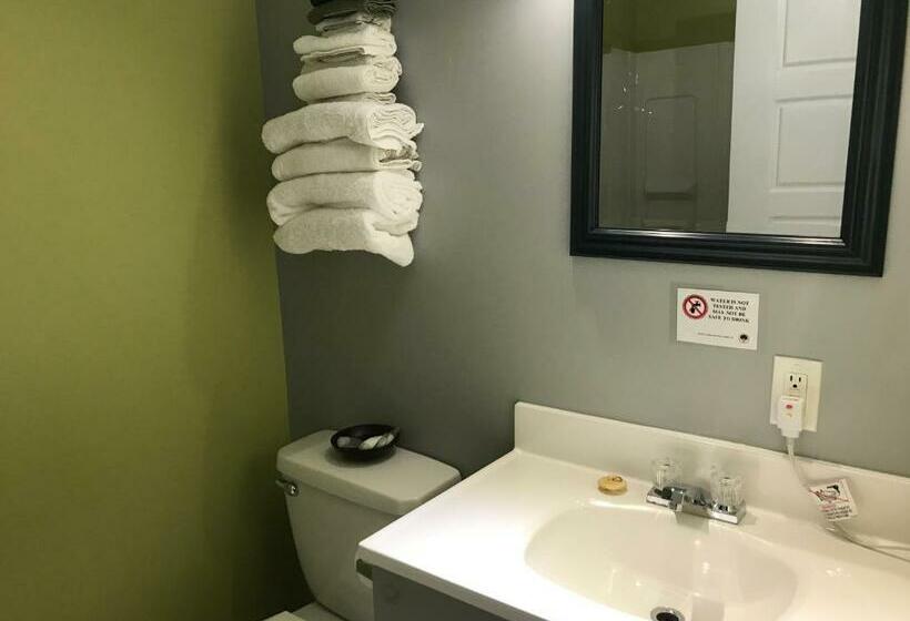 غرفة قياسية سرير كينج, Hush Lodge And Cottages