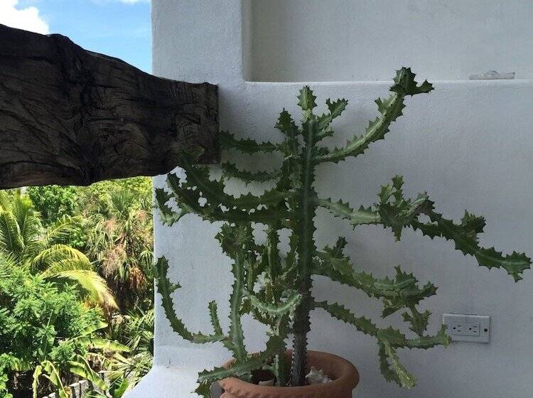 ダブルベッドスタンダードルーム, Mi Casa En Cozumel