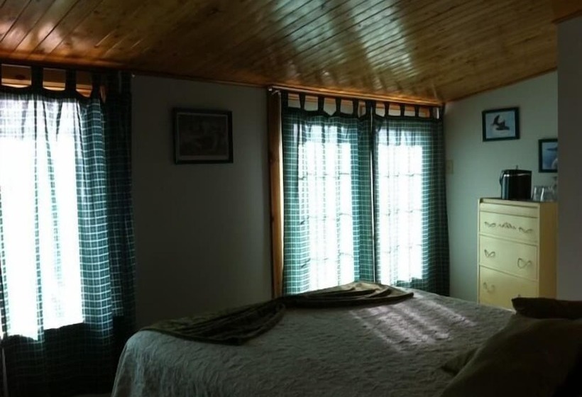 스탠다드 룸 더블 침대, Green Highlander Lodge