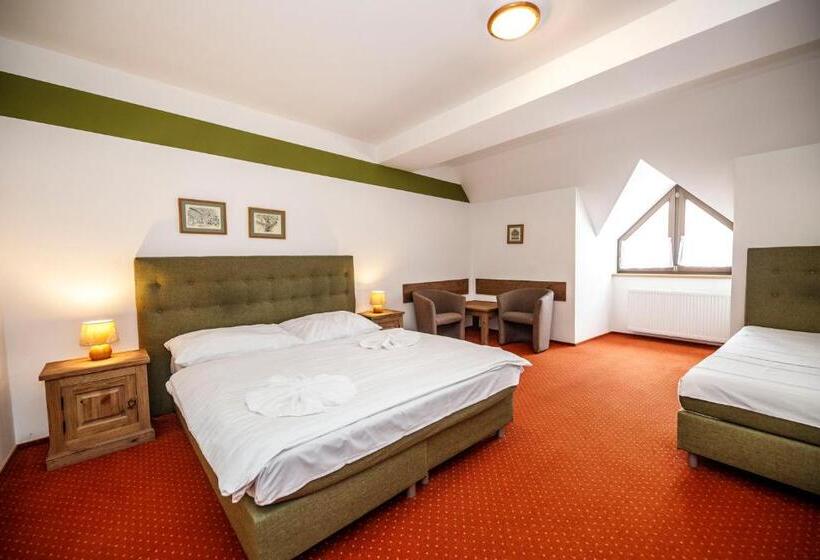 4인용 스탠다드 룸, Wellness Pension 7