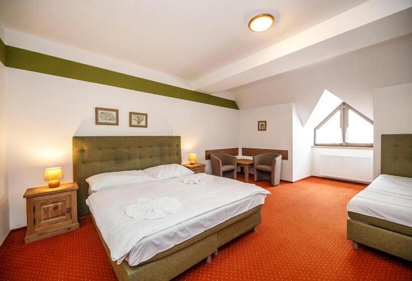 4인용 스탠다드 룸, Wellness Pension 7