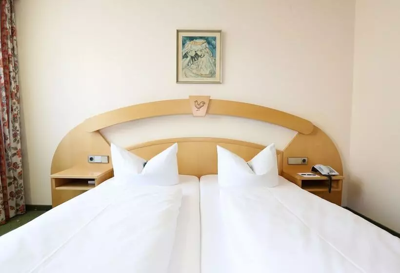 اتاق استاندارد, Arthotel Ana Goggl