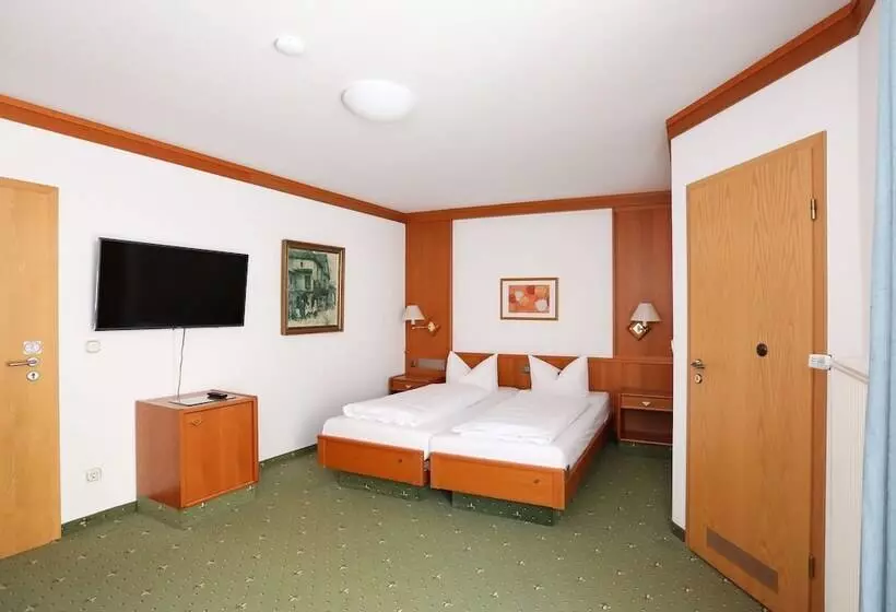 اتاق استاندارد, Arthotel Ana Goggl