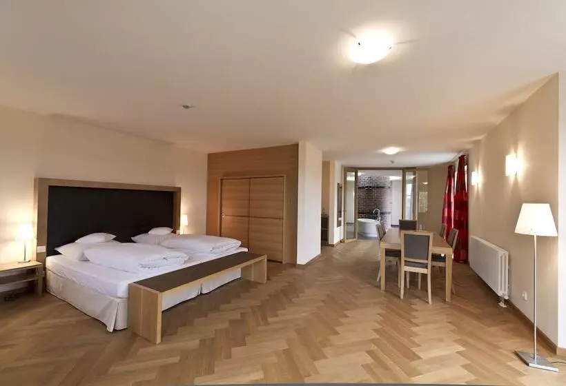 スタンダードシングルルーム, Gutshotel Odelzhausen