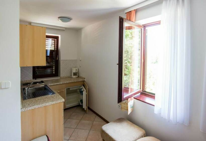 Апартаменты 1 Спальня, Apartments And Rooms Degra