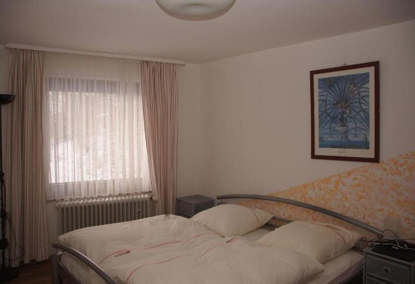 Номер Стандарт, Paseo