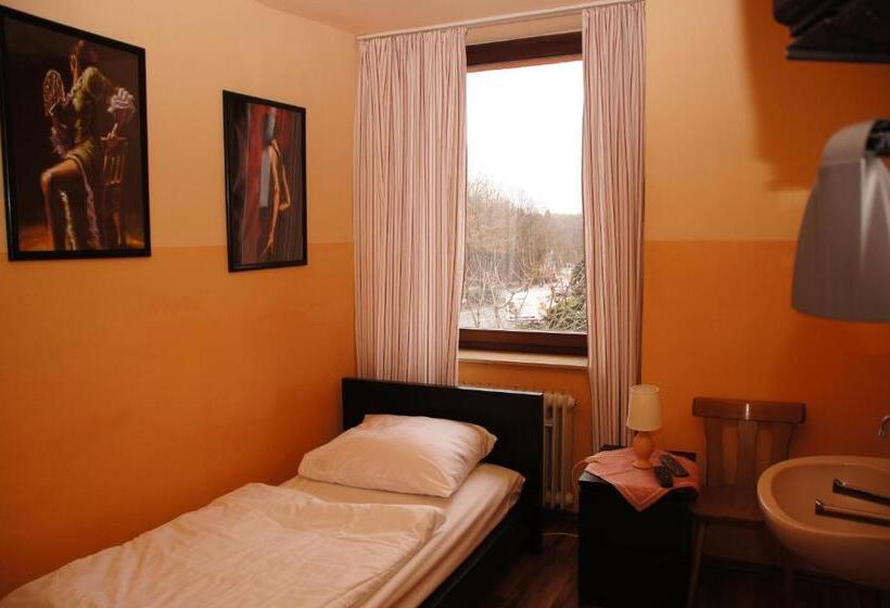 Номер Стандарт Индивидуальный Совместная Ванная, Paseo