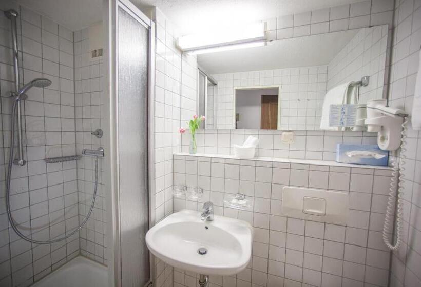 标准单人间, Wilder Mann