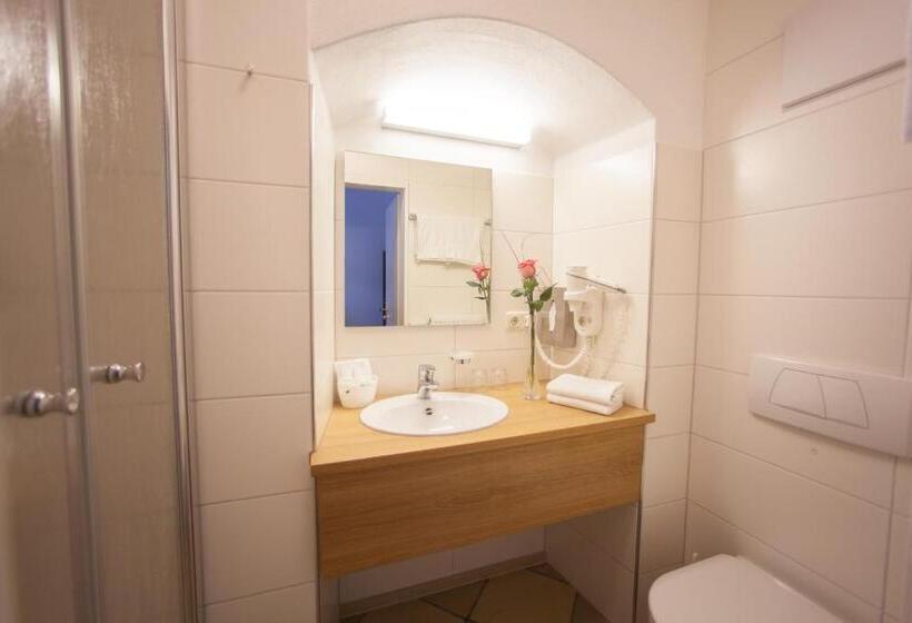 标准间, Wilder Mann