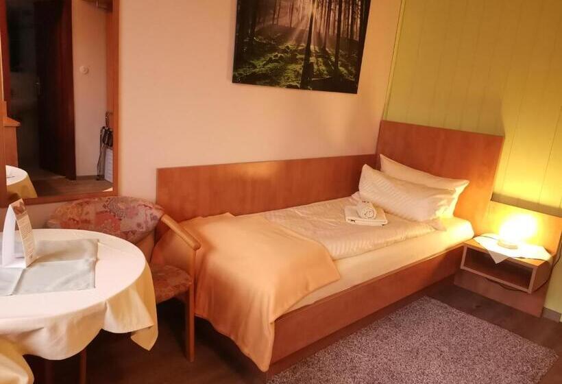 חדר סטנדרט יחיד, Zur Schmiede