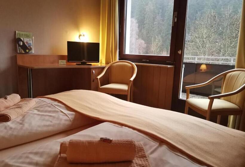 חדר סטנדרט עם מרפסת, Zur Schmiede