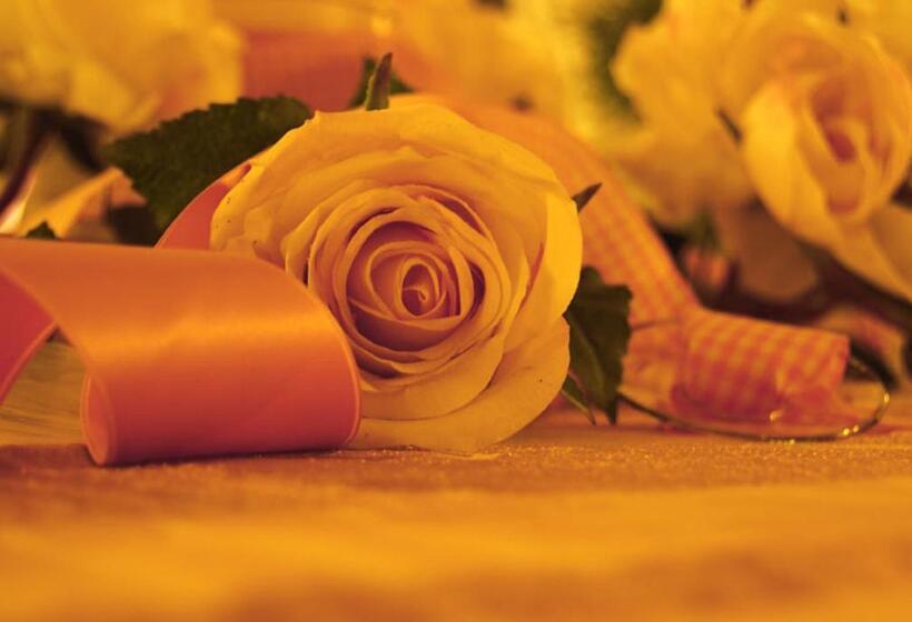 Номер Стандарт, Landhotel Sonneneck Breuna Im Naturpark