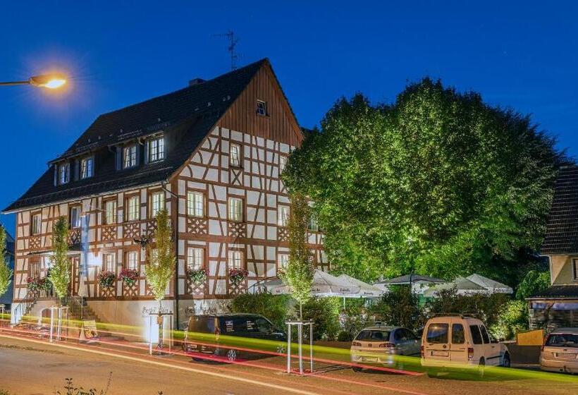 غرفة قياسية, Gasthof Adler