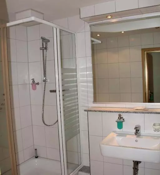 エコノミーシングルルーム, Trip Inn Hotel Zum Riesen Hanau