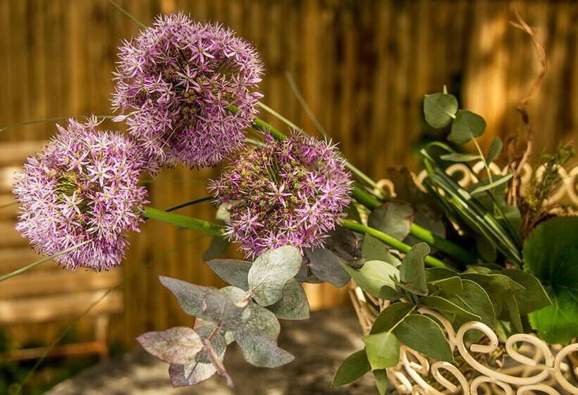 شقة غرفة واحدة مزودة بتراس, Alpenhof Garnihotel & Ferienwohnungen