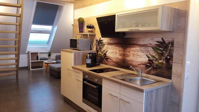 带1个卧室的豪华公寓, Dietz