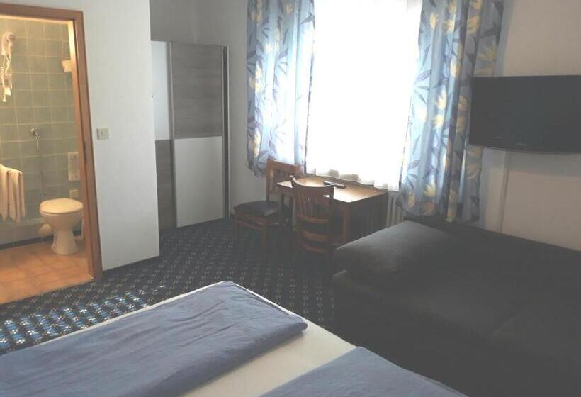 Номер Стандарт Трехместный, Elsenztal