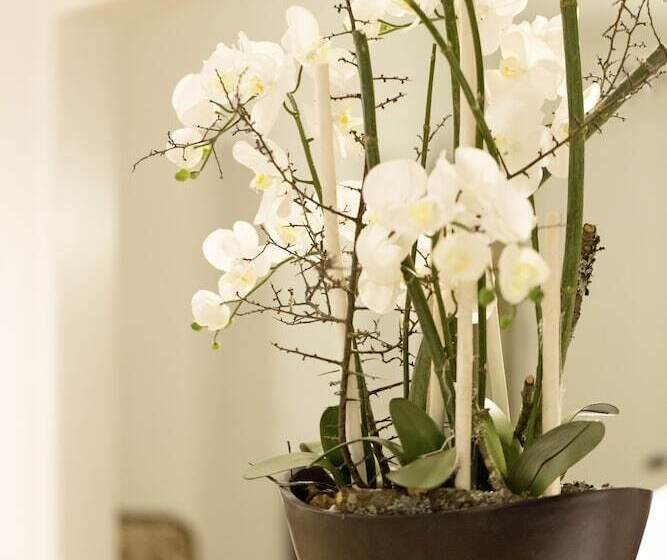 스탠다드 싱글 룸, Kurparkblick