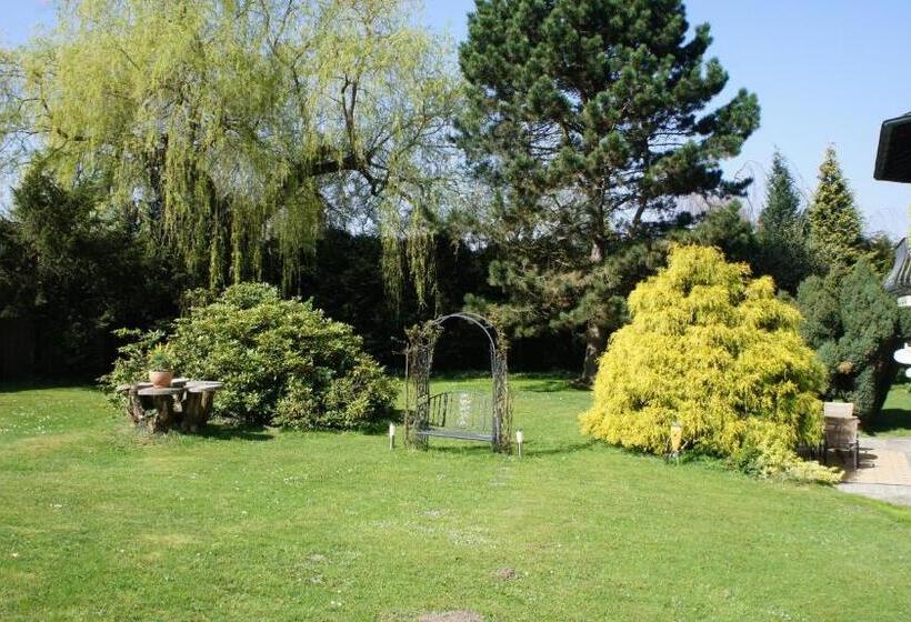 اتاق استاندارد یک نفره, Park Ambiente Friedberg