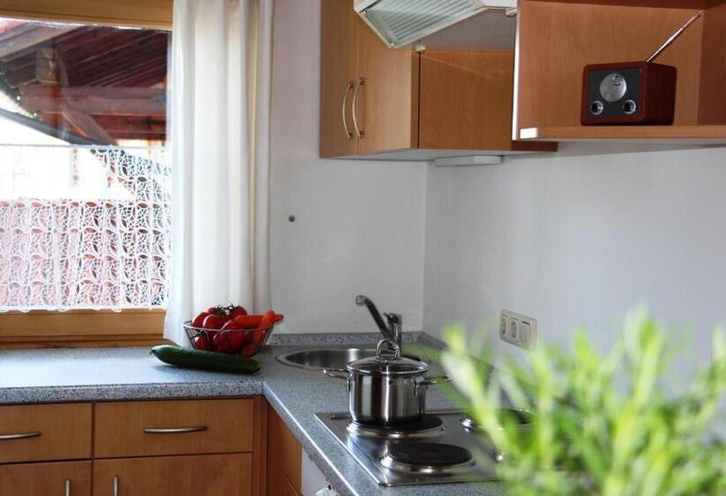 شقة غرفة واحدة مزودة بتراس, Landhaus Grobert