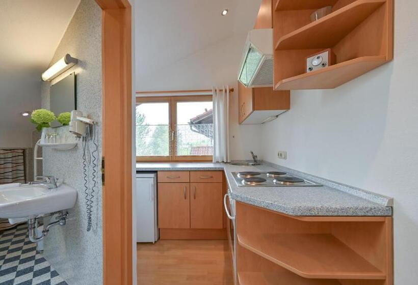 شقة غرفة واحدة مزودة بتراس, Landhaus Grobert