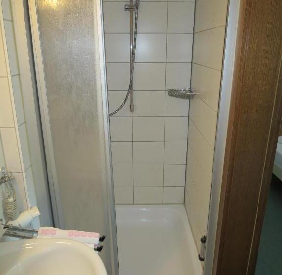 单人经济间, Der Gasthof In Alfdorf