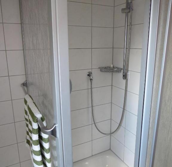 标准单人间, Der Gasthof In Alfdorf