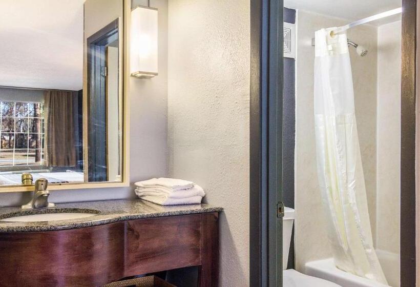 适合残疾人士使用的带超级大床的标准间, Suburban Studios By Choice Hotels Award Winning New 2024 Walk To Eateries & Grocery Ultra Sp