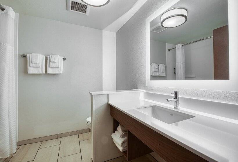 Люкс, Holiday Inn Express & Suites   Manitou Springs, An Ihg